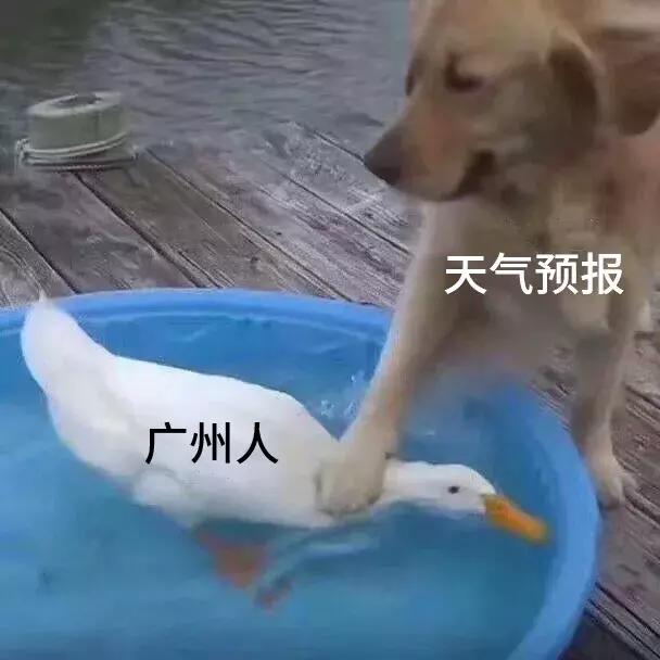 粤语俗语及谚语，学会这些粤语俗语