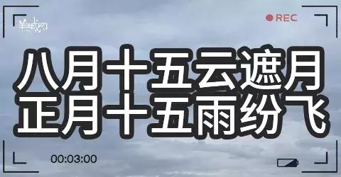 粤语俗语及谚语，学会这些粤语俗语