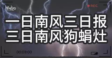 粤语俗语及谚语，学会这些粤语俗语