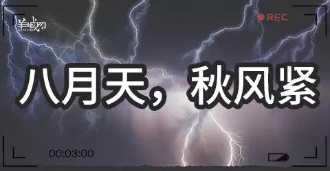 粤语俗语及谚语，学会这些粤语俗语