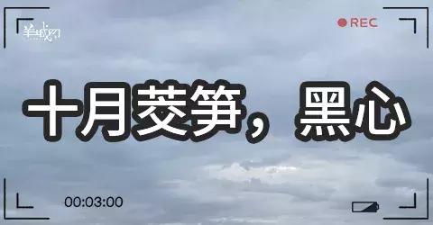 粤语俗语及谚语，学会这些粤语俗语