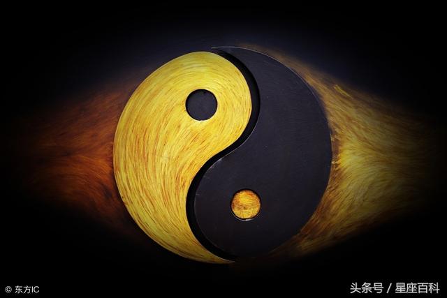 秋高气爽是什么生肖，关于秋高气爽的词语（喜上枝头的3生肖）