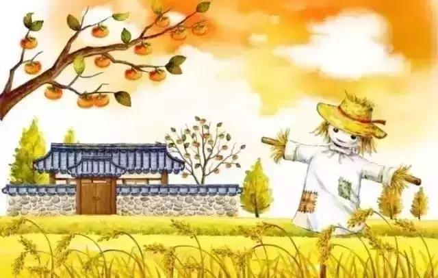 环创幼儿园主题墙，幼儿园环创主题墙简单大方艺术（最新幼儿园主题墙环创大合集）