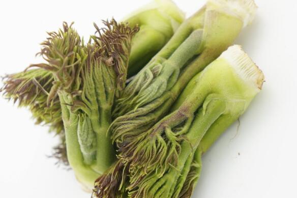 刺嫩芽,又称为龙牙楤木,刺老芽等等,是一种小乔木.