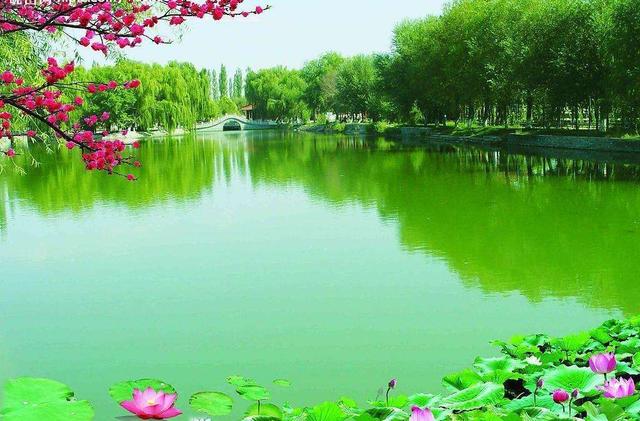 一一成语，一一的成语（“一”字成语，都了解了吗）