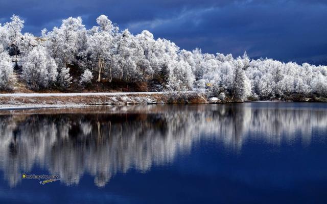 一一成语，一一的成语（“一”字成语，都了解了吗）