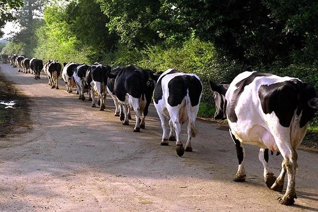 长方形的对角线怎么算，直角三角形斜边怎么算（快来试试对角线构图）