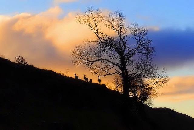 长方形的对角线怎么算，直角三角形斜边怎么算（快来试试对角线构图）
