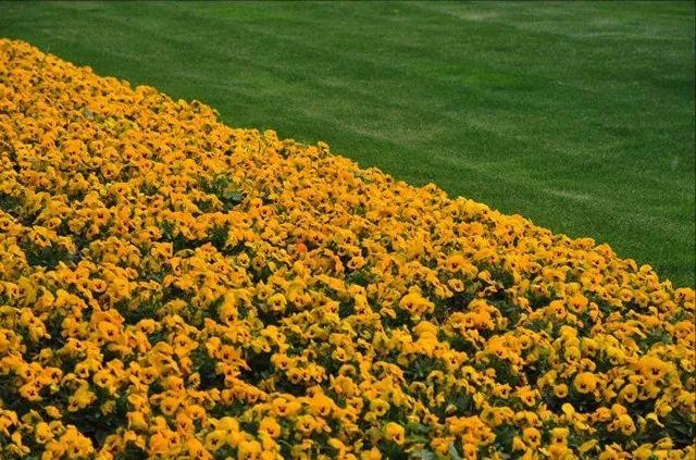 长方形的对角线怎么算，直角三角形斜边怎么算（快来试试对角线构图）