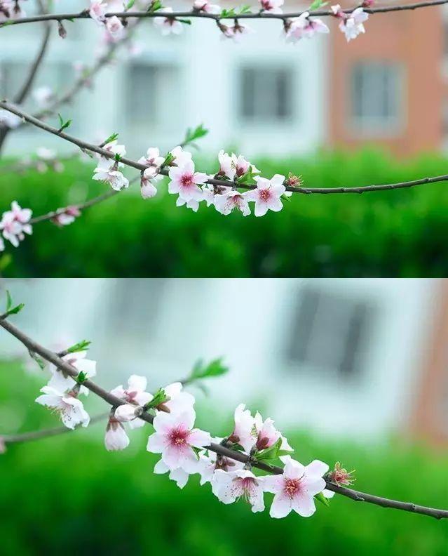 长方形的对角线怎么算，直角三角形斜边怎么算（快来试试对角线构图）