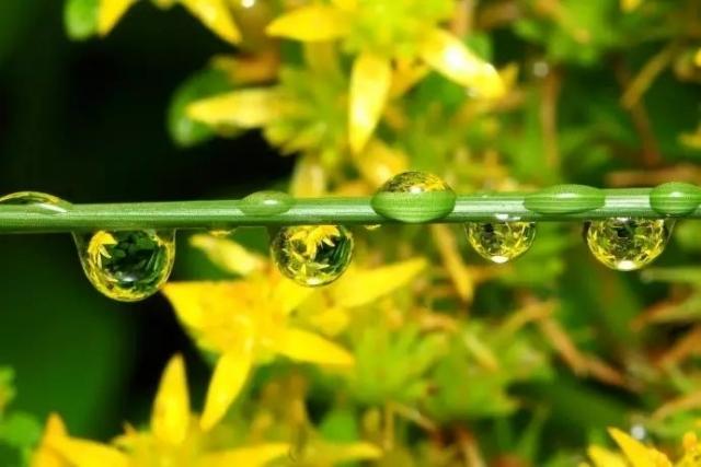 长方形的对角线怎么算，直角三角形斜边怎么算（快来试试对角线构图）