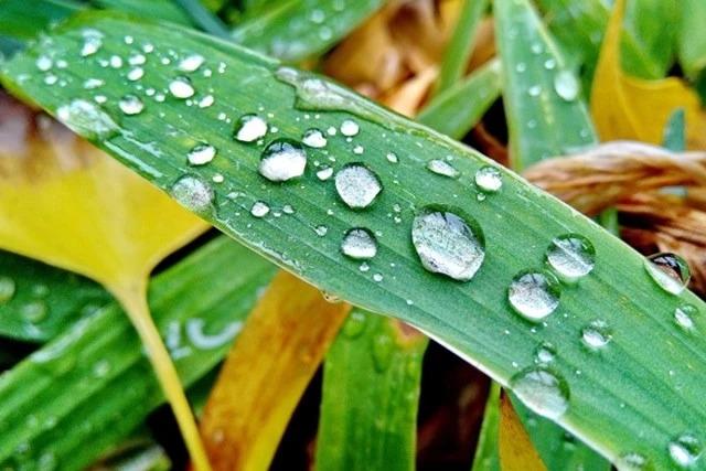 长方形的对角线怎么算，直角三角形斜边怎么算（快来试试对角线构图）