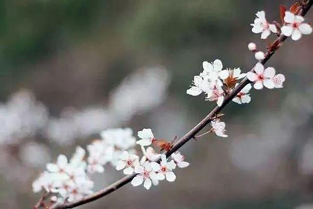 长方形的对角线怎么算，直角三角形斜边怎么算（快来试试对角线构图）