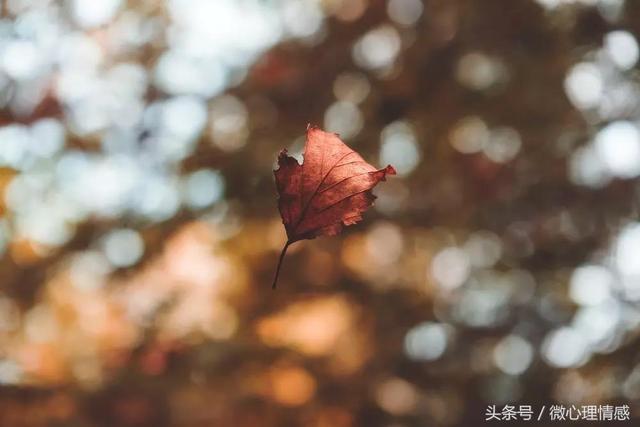 女人梦见往高处爬，梦到很吃力往高处爬啥意思（梦见从高楼、悬崖掉下去）