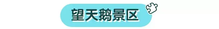 长白山在哪个城市，长白山属于哪个省份哪个市（一起去吉林省的长白山看一看吧）