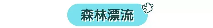 长白山在哪个城市，长白山属于哪个省份哪个市（一起去吉林省的长白山看一看吧）