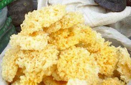 鲜银耳怎么吃防止中毒，超市买的新鲜银耳怎么处理才能吃（告诉你如何挑选银耳更安全）