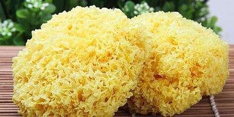 鲜银耳怎么吃防止中毒，超市买的新鲜银耳怎么处理才能吃（告诉你如何挑选银耳更安全）