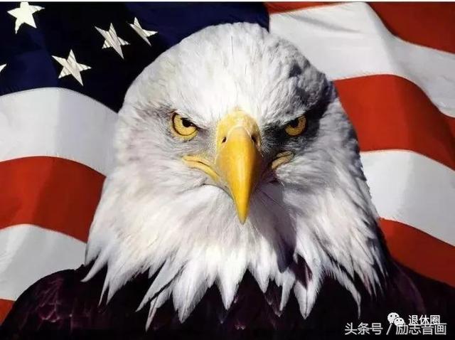 英国的国宝是什么动物，英国的国宝是什么动物英文（英国的国宝图片）