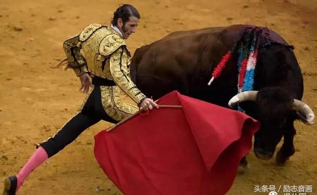 英国的国宝是什么动物，英国的国宝是什么动物英文（英国的国宝图片）