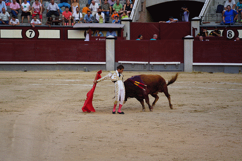 英国的国宝是什么动物，英国的国宝是什么动物英文（英国的国宝图片）