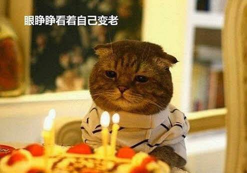 含蓄幽默表达自己生日的句子有哪些，含蓄幽默表达自己生日生日快乐图片（适合祝自己生日快乐的句子）