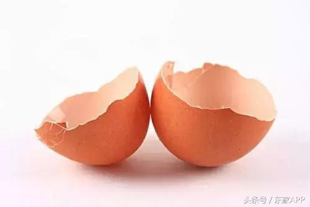 陶瓷杯茶渍怎么去除，陶瓷杯子茶渍去除小窍门（别再用这些错误方法了）