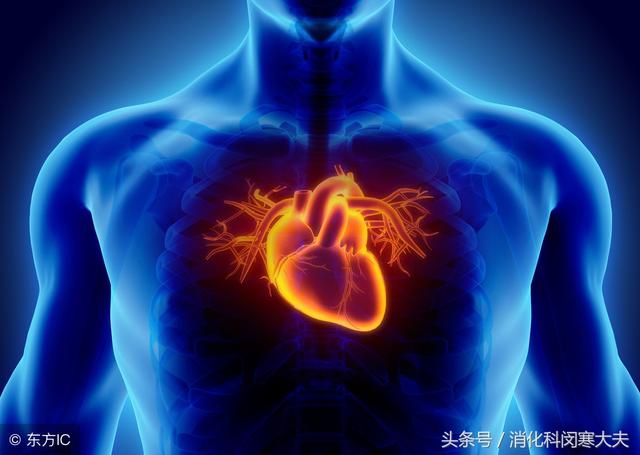 胸口在哪个位置图解，羊胸口骨在哪个位置（心慌还是胃痛，我的心在哪里）