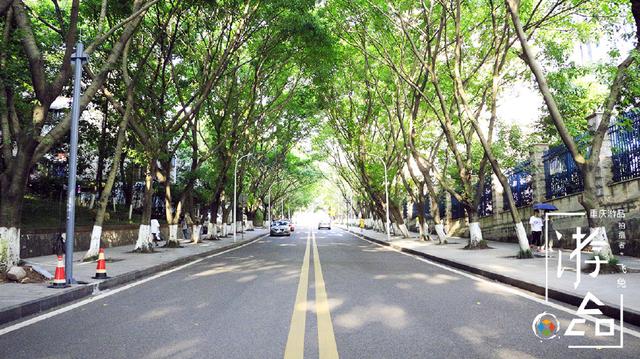 渝是哪个省的车牌，渝是哪个省（消失的渝E车牌和外来的鸡公煲）