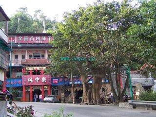 辣子鸡是哪里的菜，辣子鸡是川菜吗（中华名菜追本溯源之川菜篇—“辣子鸡”来自重庆歌乐山“林中乐”）