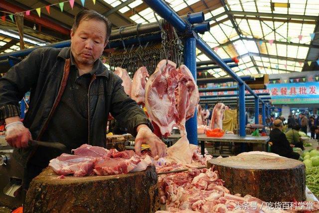 隔山肉在猪的什么位置，隔山肉怎么做好吃（猪身上最“补”的部位）