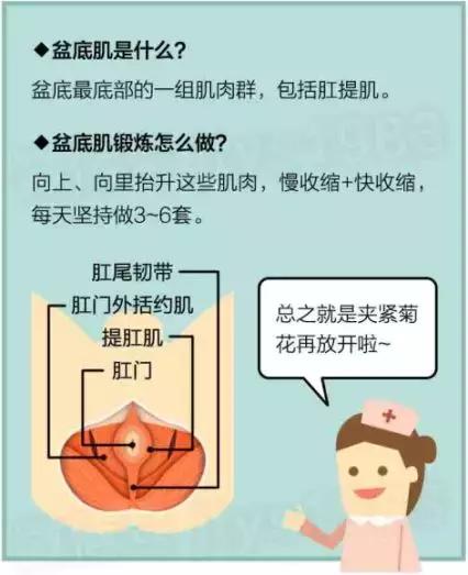 牛鞭是牛的什么器官，牛鞭为什么那么长（腰子、牛鞭、生蚝哪个更补肾）