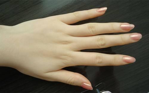 柔荑指女子的什么地方，柔荑（柔荑花序）（柔荑柔荑花序）