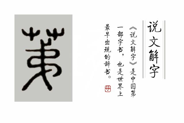 柔荑指女子的什么地方，柔荑（柔荑花序）（柔荑柔荑花序）