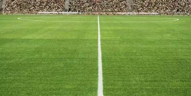 阿迪达斯足球鞋分类简介，阿迪达斯高端足球鞋型号（踢足球应该选择合适的足球鞋）