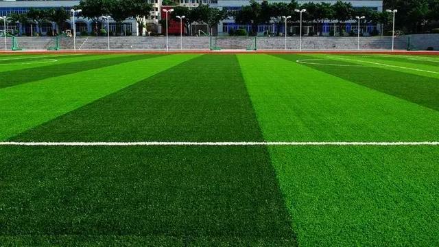 阿迪达斯足球鞋分类简介，阿迪达斯高端足球鞋型号（踢足球应该选择合适的足球鞋）