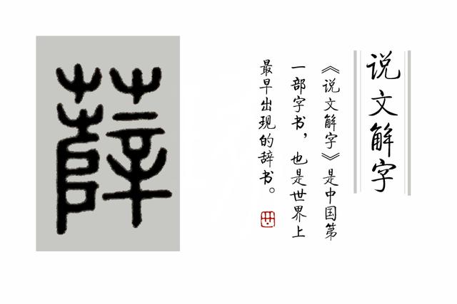 柔荑指女子的什么地方，柔荑（柔荑花序）（柔荑柔荑花序）