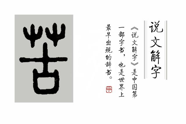 柔荑指女子的什么地方，柔荑（柔荑花序）（柔荑柔荑花序）