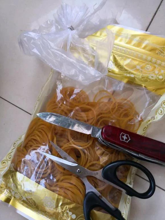 玫瑰花种子发芽六个过程图片，玫瑰花种如何培育发芽（满阳台都是大花球）