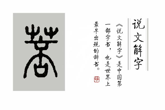 柔荑指女子的什么地方，柔荑（柔荑花序）（柔荑柔荑花序）