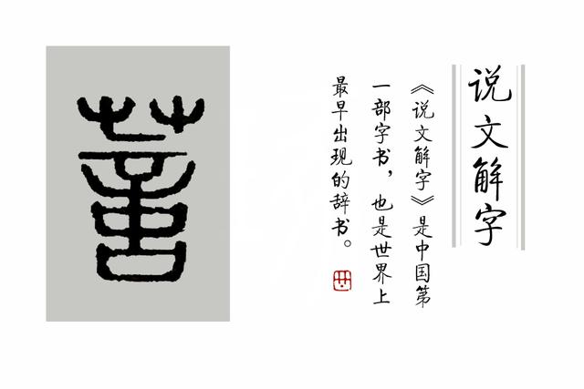 柔荑指女子的什么地方，柔荑（柔荑花序）（柔荑柔荑花序）