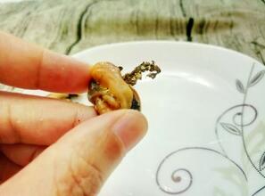 圖片[6]-2種青口貝做法 壯陽佳品 補虛養腎 常吃它腎強精壯-起舞食譜網
