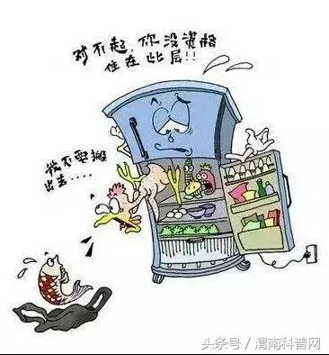 生活小科普系列，日常小科普（科普生活小知识）