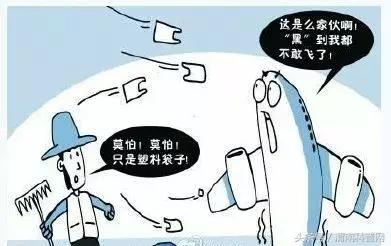 生活小科普系列，日常小科普（科普生活小知识）