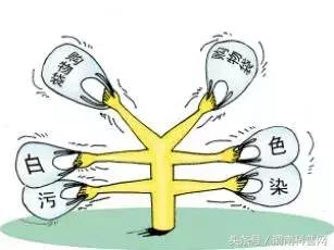 生活小科普系列，日常小科普（科普生活小知识）
