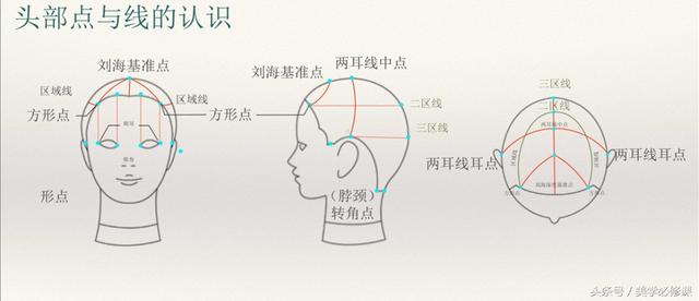 发型师必须要掌握的9大剪发技巧 ！，剪发基本手法（剪发必修课：掌握7点“分区）