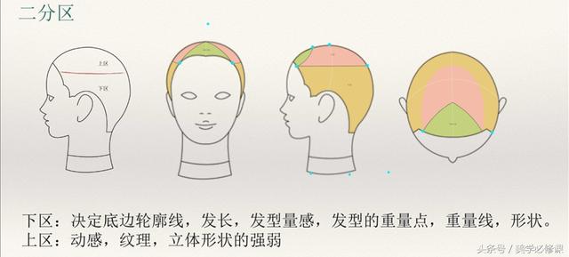 发型师必须要掌握的9大剪发技巧 ！，剪发基本手法（剪发必修课：掌握7点“分区）