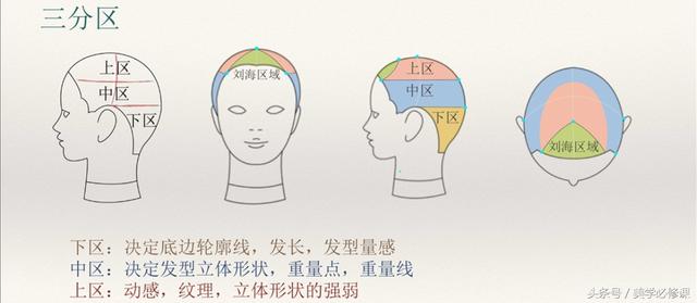 发型师必须要掌握的9大剪发技巧 ！，剪发基本手法（剪发必修课：掌握7点“分区）