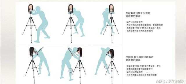 发型师必须要掌握的9大剪发技巧 ！，剪发基本手法（剪发必修课：掌握7点“分区）