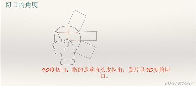 发型师必须要掌握的9大剪发技巧 ！，剪发基本手法（剪发必修课：掌握7点“分区）